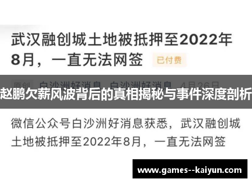 赵鹏欠薪风波背后的真相揭秘与事件深度剖析