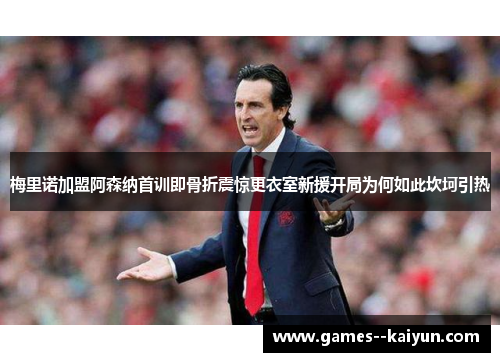 梅里诺加盟阿森纳首训即骨折震惊更衣室新援开局为何如此坎坷引热